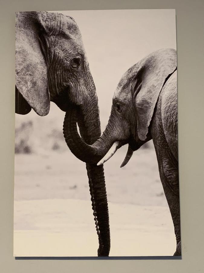 Elephant House, 2 Bedroom House, Next To Pilanesberg And Sun City Mogwase 外观 照片